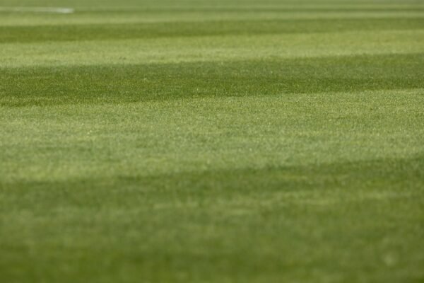 Strategi Pembinaan di Akademi Sepak Bola PSSI Batam